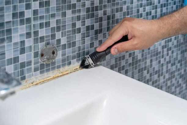 Best Fast Mold Removal  in North Kensington, MD